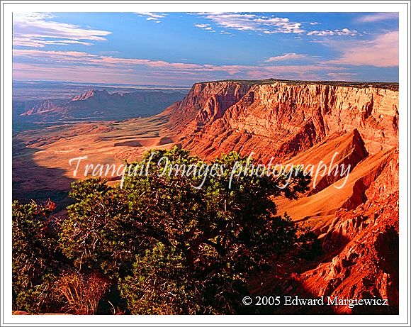 450370E   Vermillion Cliffs wilderness area 